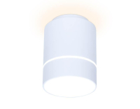 Накладной светильник Ambrella Light TN TN256