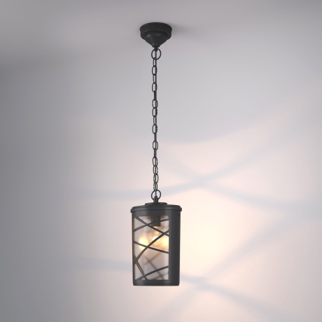 109957 Уличный подвесной светильник Elektrostandard (a039857)