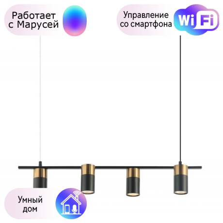 Подвесной светильник Favourite Topper с поддержкой Маруся 2825-4P-М 