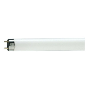 Люминесцентная лампа G13 36W 4100K (белый) T8 SLV Philips (C0019865)
