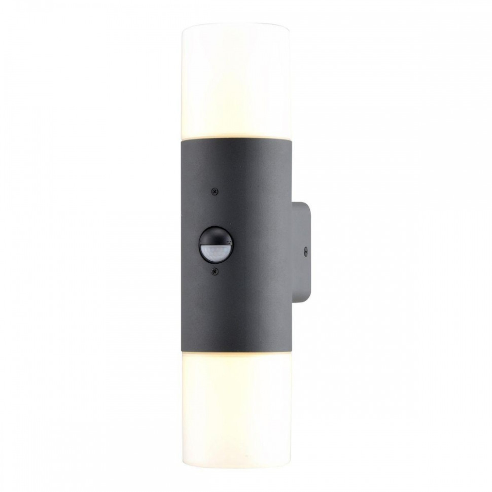 Уличный настенный светильник Escada Pair 534/2A Dark grey