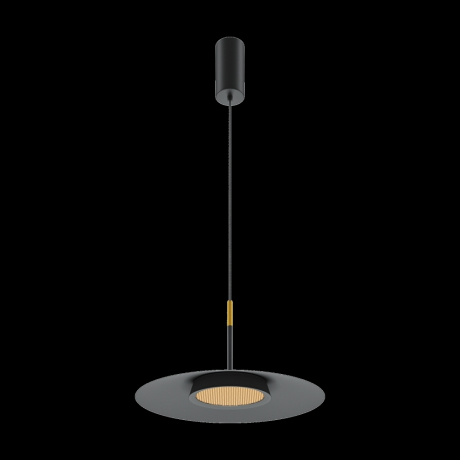 Подвесной светильник Maytoni MOD041PL-L15B3K1 El 