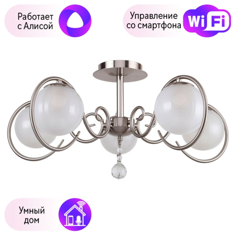 Потолочная люстра F-Promo Fabbio с поддержкой Алиса 2349-5U-A 