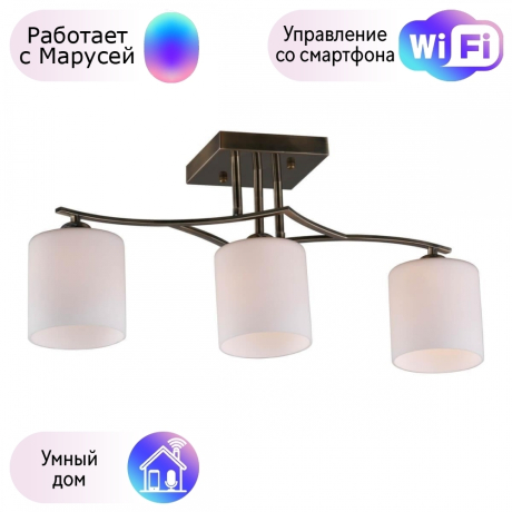 Люстра с поддержкой Маруси потолочная Omnilux OML-55317-03-M 