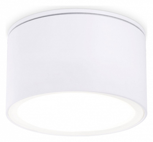 Накладной светильник Ambrella Light TN TN6522