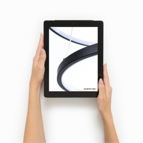 Подвесная люстра с пультом ДУ Arte Lamp Frodo A2197SP-2BK 