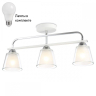 Потолочный светильник с лампочками Ambrella light TR303233+Lamps 