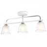 Потолочный светильник с лампочками Ambrella light TR303233+Lamps 