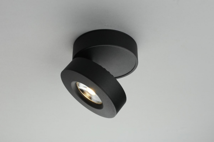 Спот Omnilux Borgetto OML-101919-12 