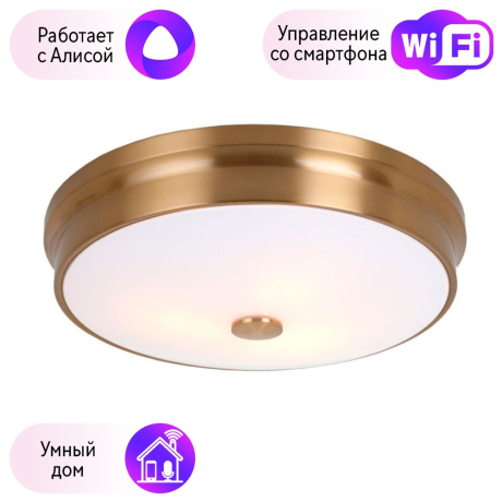 Потолочный светильник Favourite Pannikin с поддержкой Алиса 2375-3C-A 