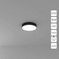 Потолочный светильник Arte Lamp Fado A7335PL-1BK