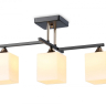 Потолочный светильник с лампочками Ambrella light TR303114+Lamps 