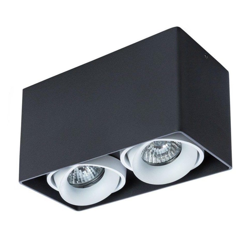 A5654PL-2BK Светильник потолочный Arte Lamp Pictor