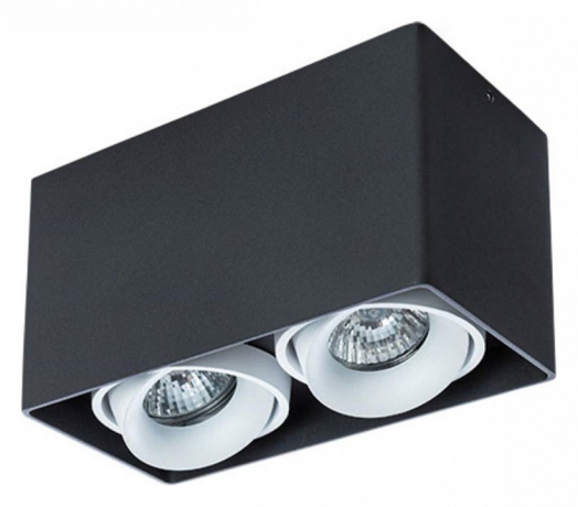 Накладной светильник Arte Lamp Pictor A5654PL-2BK 