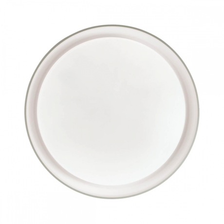 Накладной светильник Sonex Bionic 3030/DL 