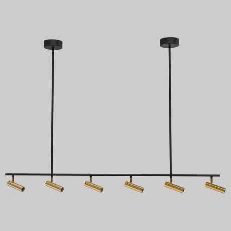 Светильник на штанге Eurosvet Epiphania 20252/6 LED черный/латунь 