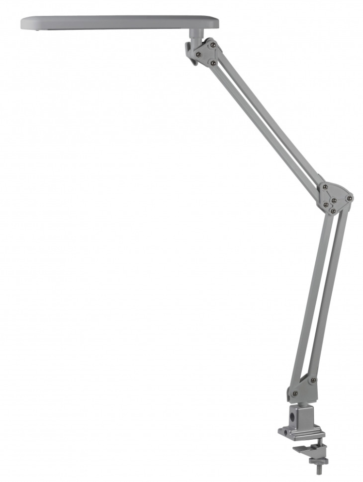 NLED-441-7W-S Настольная лампа на струбцине Эра Б0008003, цвет серебро - фото 1