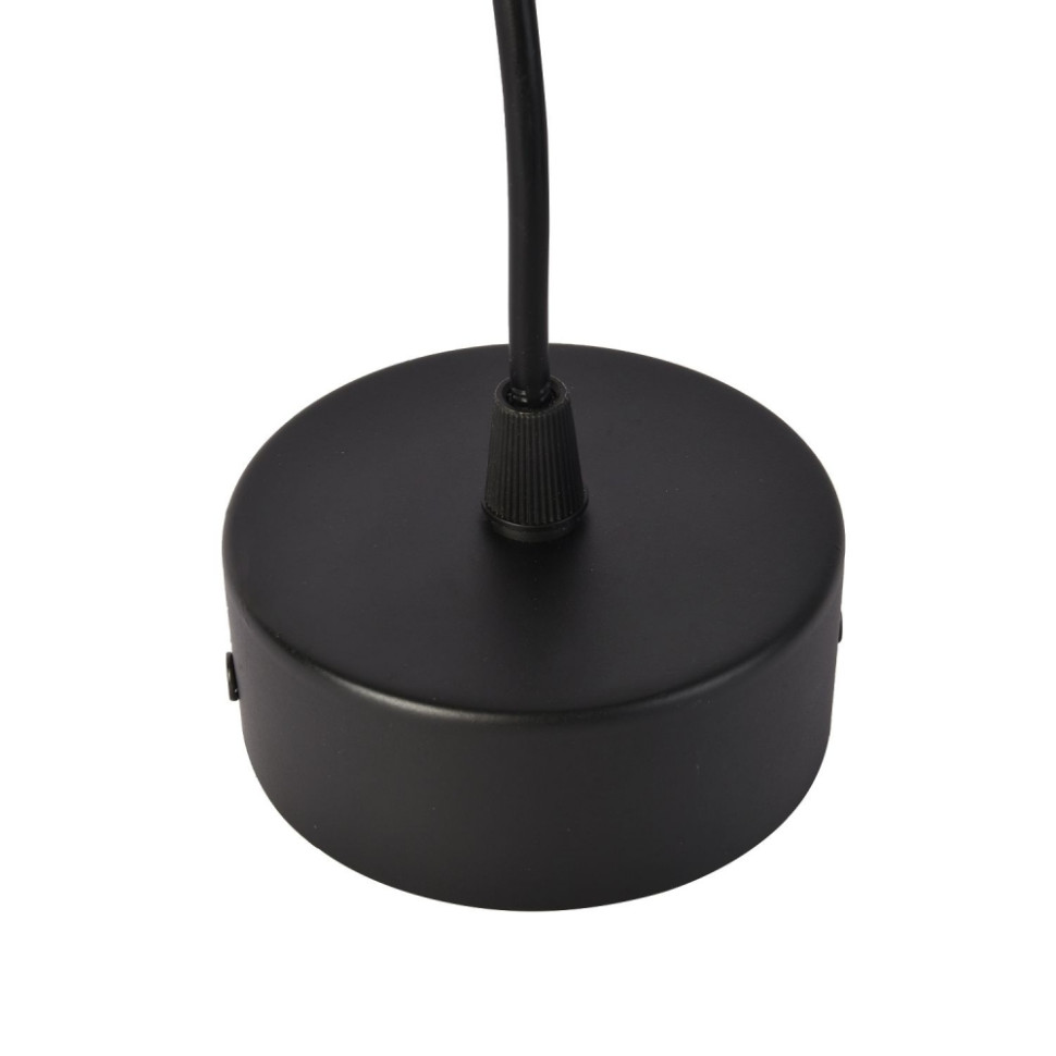 Подвесной светильник Favourite Sarkal 3077-1P, цвет матовый черный - фото 3