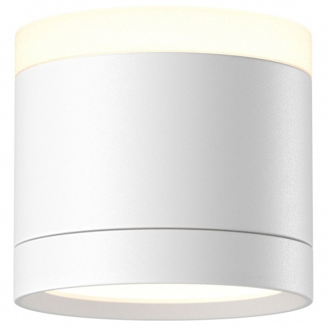 Накладной светильник Maytoni Technical Pauline C120CL-GX53-W 