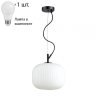 Светильник с лампочкой Odeon Light Roofi 4753/1+Lamps 