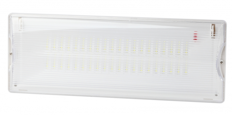 Аварийный светодиодный светильник Эра -301-0-65 (247990)