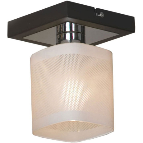 Потолочный светильник Lussole Costanzo LSL-9007-01 