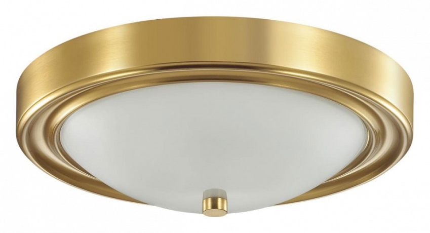 Накладной светильник Lumion Nina 5259/2C 