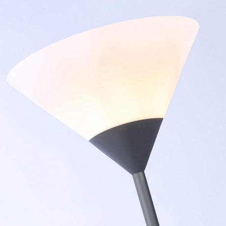 Торшер Ambrella Light TR TR97615 