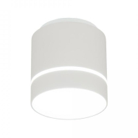 Накладной светильник Citilux Борн CL745020N