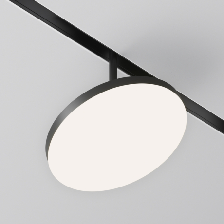 Светильник на штанге Maytoni Technical Plato TR131-2-15W4K-B