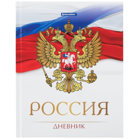 Нарушена упаковка! <287196> Дневник 5-11 класс, 48 л., твердый, BRAUBERG, глянцевая ламинация, с подсказом, "Символика 2", 106067