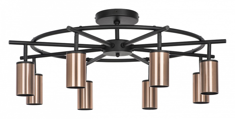 Люстра на штанге Lightstar Rullo LR718308 