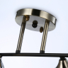 Люстра на штанге Ambrella Light TR TR303011