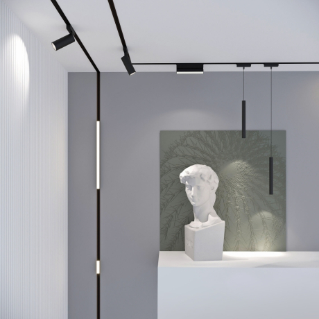 654544 Elektrostandard (a063714)