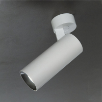 Спот светодиодный Тубус Citilux CL01B120N