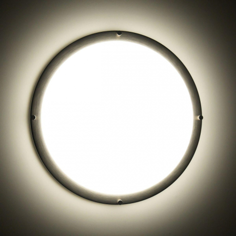 Настенно-потолочный светильник Citilux Бостон CL709321N 