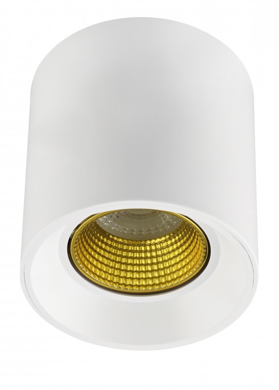 Накладной светильник Denkirs DK3090-WH+YE, цвет белый DK3090-WH+YE - фото 1