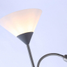 Торшер с подсветкой Ambrella Light TR TR97626 