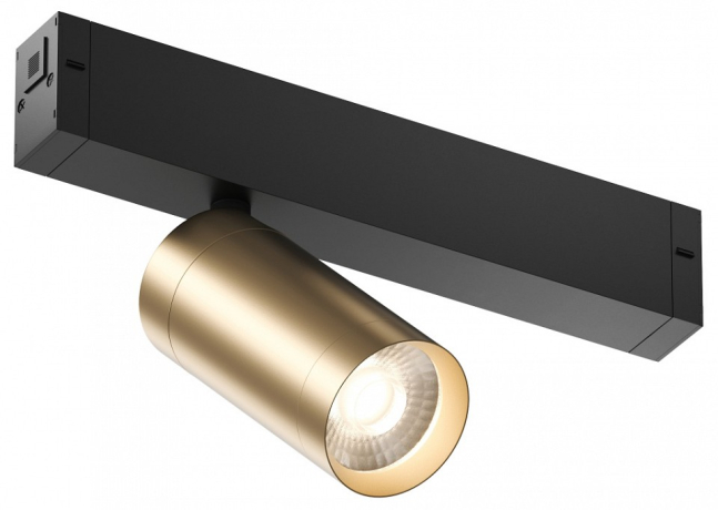 Светильник на штанге Denkirs Smart DK8010-BG 