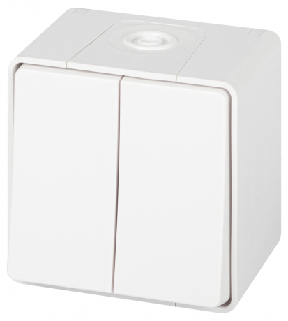 Переключатель ЭРА Эксперт  двойной IP55, 10АХ-250В, ОУ, белый (744193)