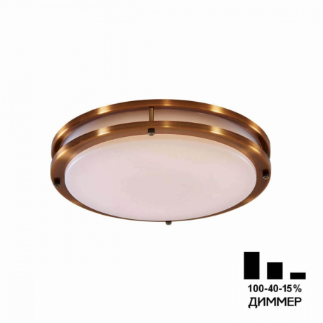 Накладной светильник Citilux Бостон CL709323N 