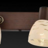 Спот Toplight Shayla TL3730Y-04BB