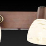Спот Toplight Shayla TL3730Y-04BB