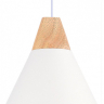 Подвесной светильник EVOLUCE Modica SLE125103-01 