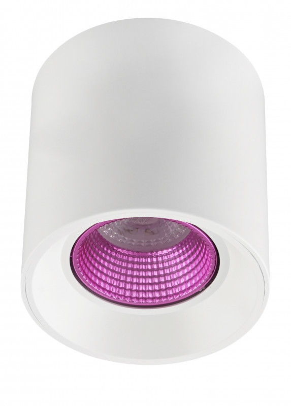 Накладной светильник Denkirs DK3090-WH+PI, цвет белый DK3090-WH+PI - фото 1