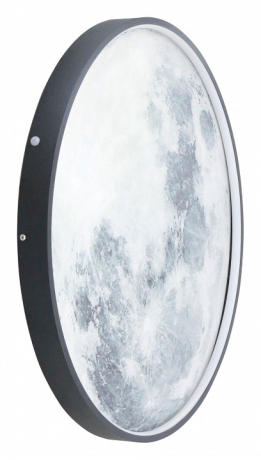 Накладной светильник Lightstar Emisfero 737637 