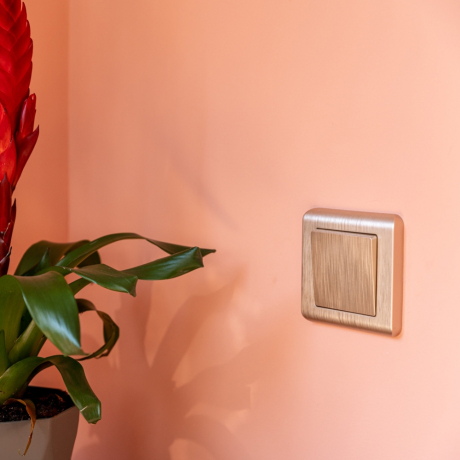 Выключатель одноклавишный (шампань рифленый) Werkel 284178