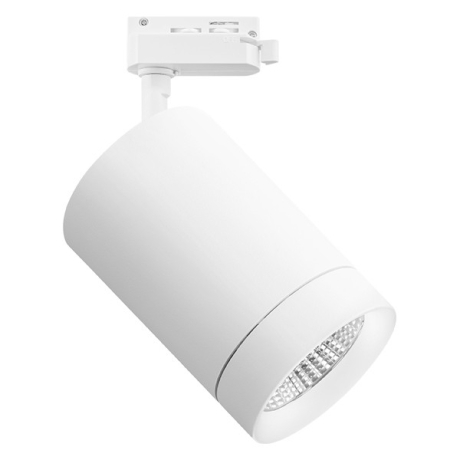 Светильник на штанге Lightstar Canno 303264 