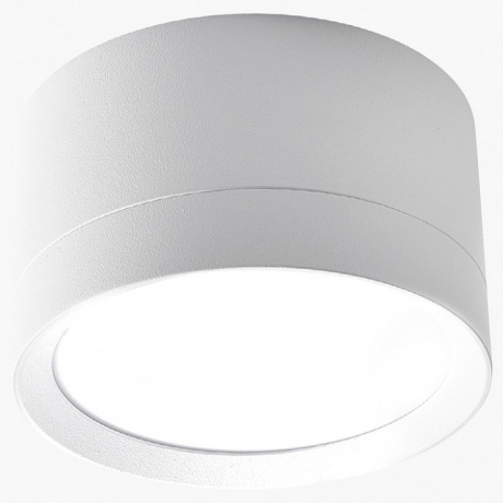 Накладной светильник LEDS POWER SPOT 009384 