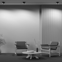 Светильник на штанге Maytoni Technical Rim TR044-1-12W3K-B